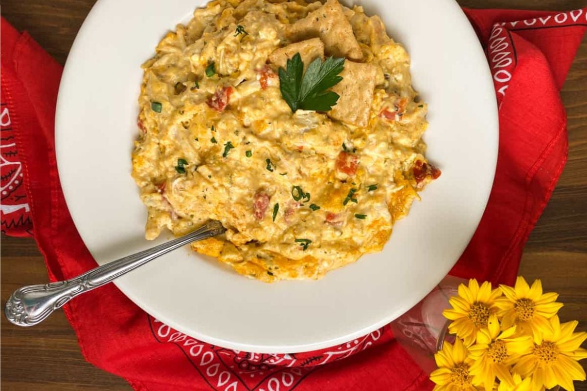 Spicy Cajun chicken dip.