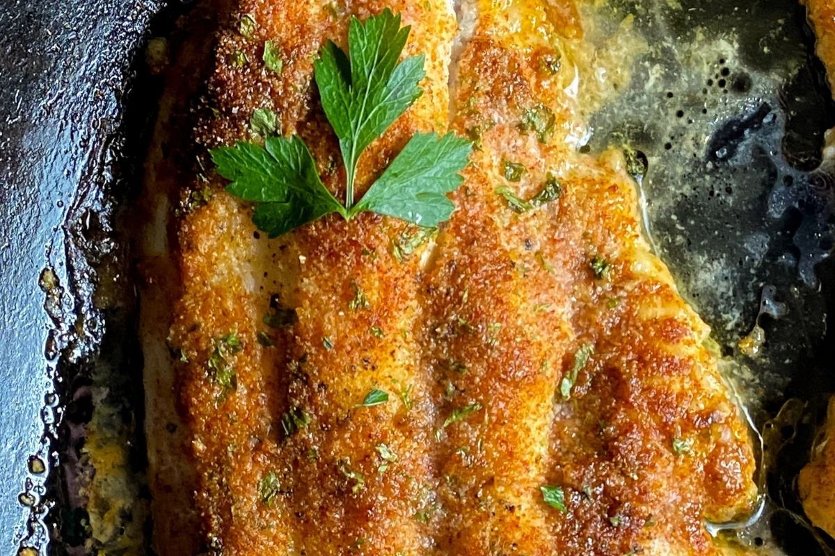 One Cajun baked catfish fillet.