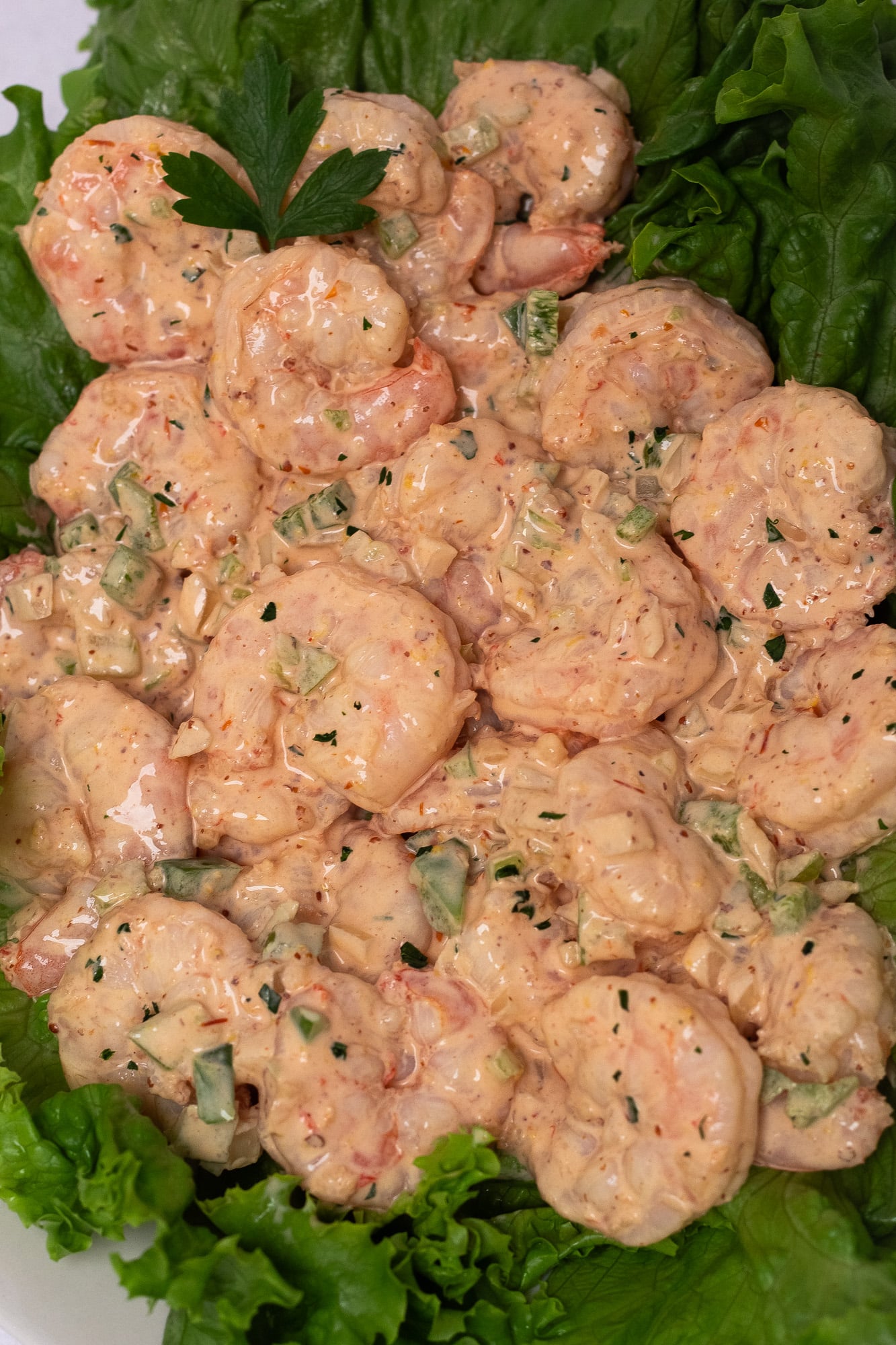 A closeup image of shrimp remoulade on green leaf lettuce.